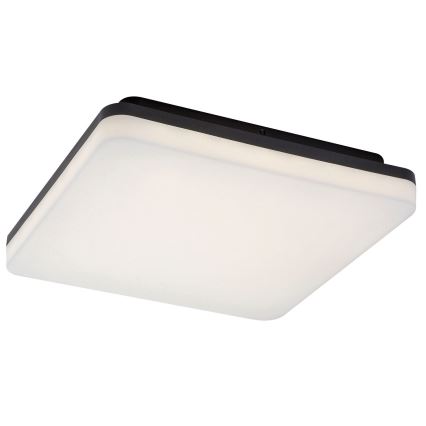 Rabalux - LED vannas istabas griestu gaismeklis LED/24W/230V IP54 28x28 cm