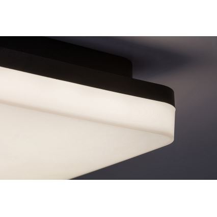 Rabalux - LED vannas istabas griestu gaismeklis LED/24W/230V IP54 28x28 cm