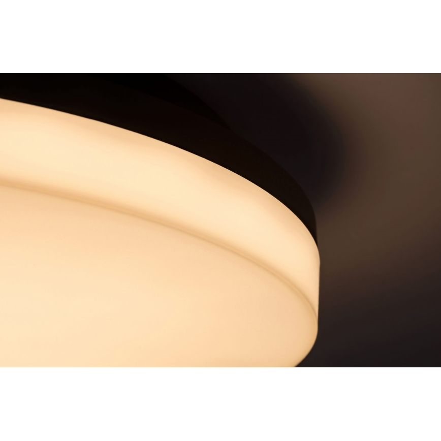 Rabalux - LED Vannas istabas griestu lampa LED/24W/230V IP54