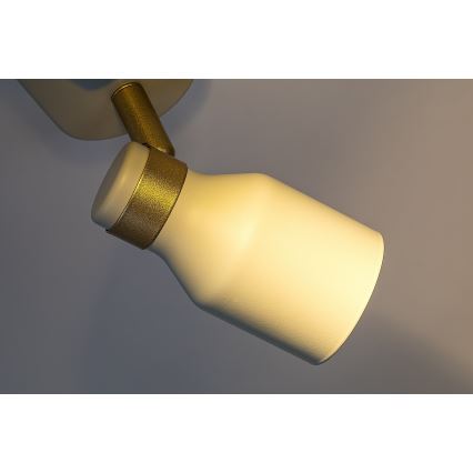 Rabalux - Spota gaismeklis 2xGU10/15W/230V