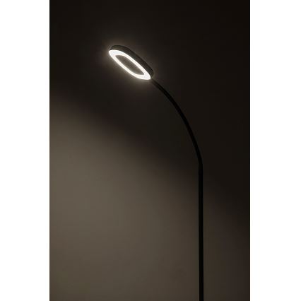 Rabalux - LED Aptumšojama skārienvadāma grīdas stāvlampa LED/11W/230V 3000K