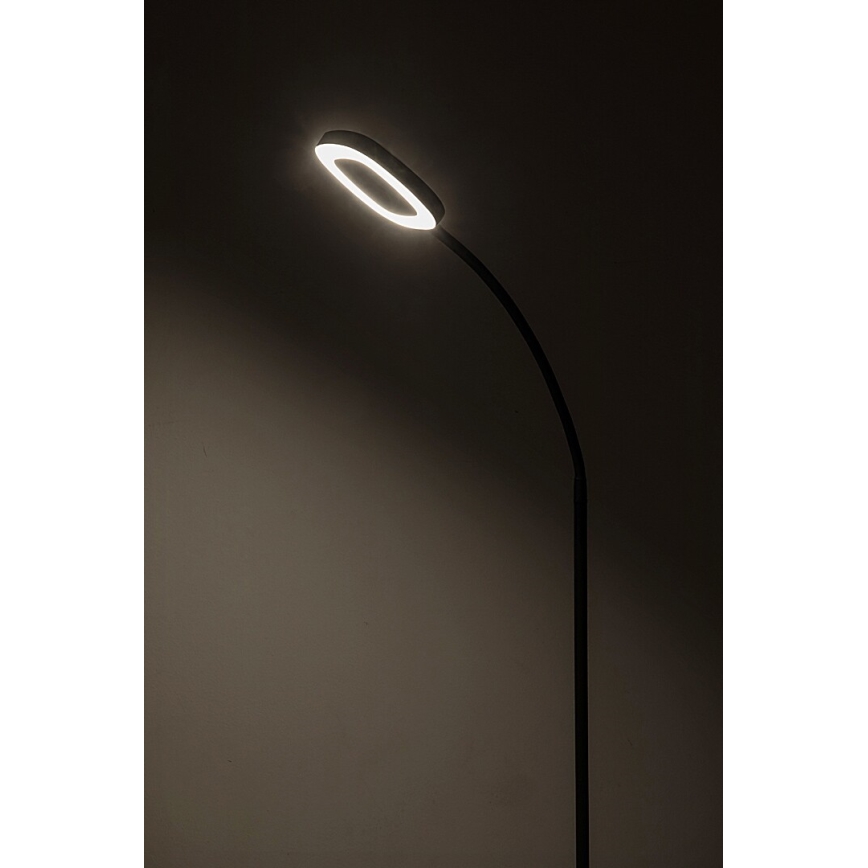 Rabalux - LED Aptumšojama skārienvadāma grīdas stāvlampa LED/11W/230V 3000K