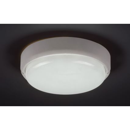 Rabalux - LED Āra griestu lampa LED/15W/230V IP54 balta