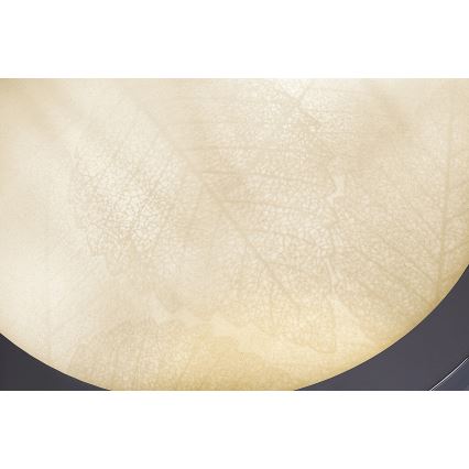 Rabalux - Griestu lampa vannas istabai, 2x E27, 40 W, 230 V, IP44, Ø 30 cm