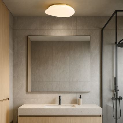 Rabalux - LED vannas istabas griestu gaismeklis LED/24W/230V IP44 Ø 41 cm