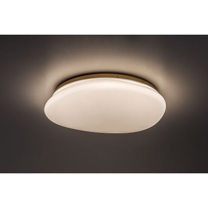 Rabalux - LED vannas istabas griestu gaismeklis LED/24W/230V IP44 Ø 41 cm