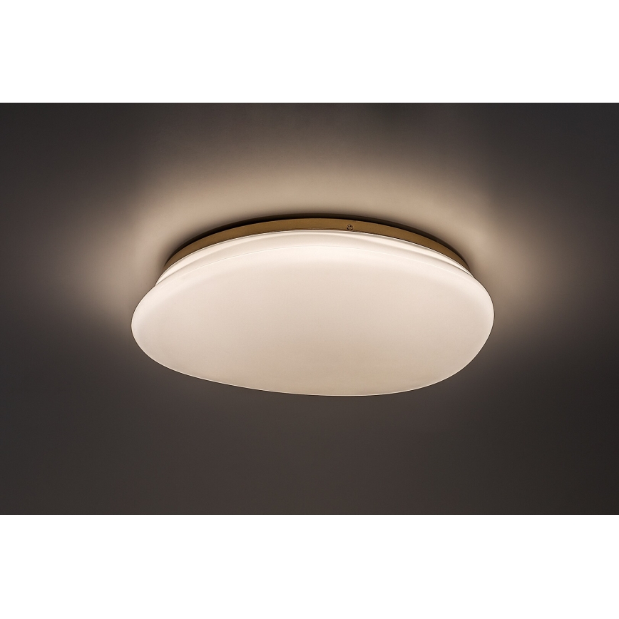 Rabalux - LED vannas istabas griestu gaismeklis LED/24W/230V IP44 Ø 41 cm