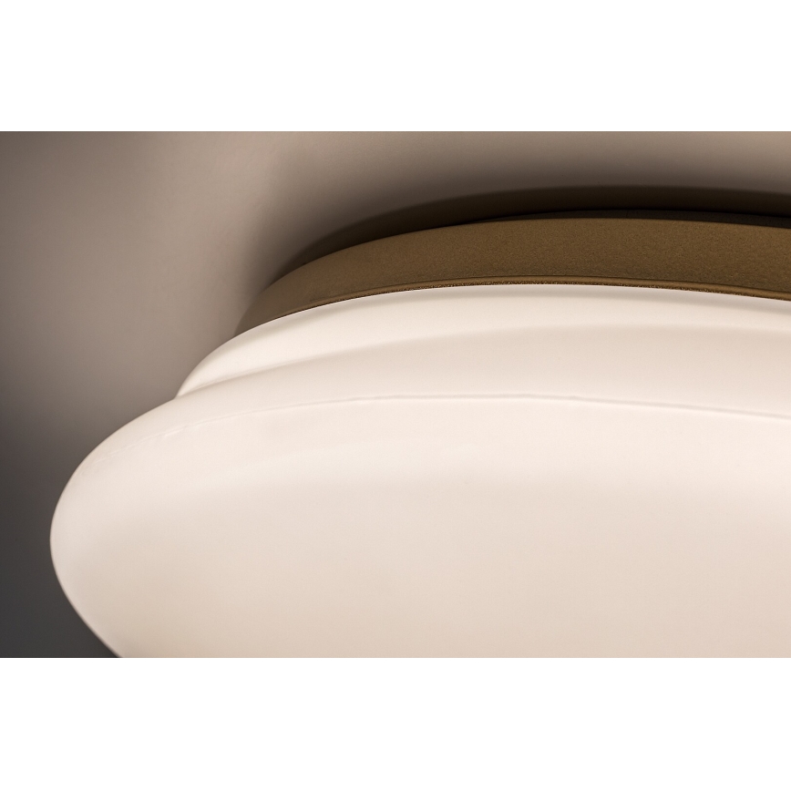 Rabalux - LED vannas istabas griestu gaismeklis LED/24W/230V IP44 Ø 41 cm