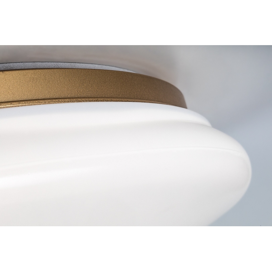 Rabalux - LED vannas istabas griestu gaismeklis LED/24W/230V IP44 Ø 41 cm