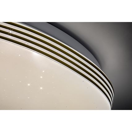 Rabalux - LED griestu gaismeklis vannas istabai, 18W/230V, IP44, Ø 34 cm