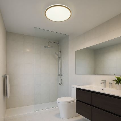 Rabalux - LED griestu lampa vannas istabai LED/18W/230V IP44 Ø 34 cm