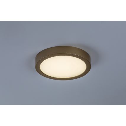 Rabalux - LED griestu gaismeklis vannas istabai LED/24W/230V diametrs 22 cm IP44 zelta krāsā