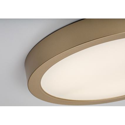 Rabalux - LED vannas istabas griestu gaismeklis LED/30W/230V Ø 30 cm IP44 zelta