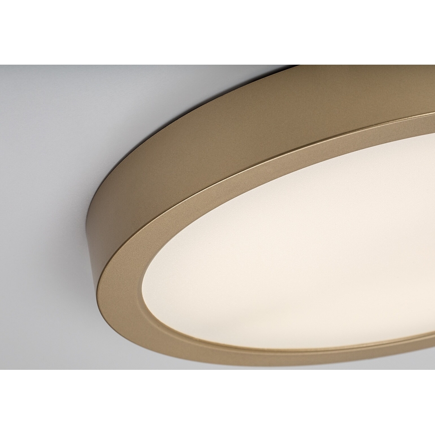 Rabalux - LED vannas istabas griestu gaismeklis LED/30W/230V Ø 30 cm IP44 zelta
