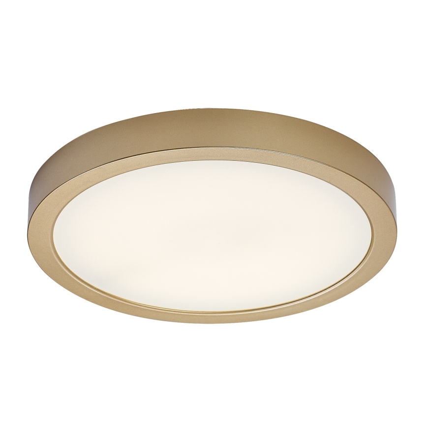 Rabalux - LED vannas istabas griestu gaismeklis LED/30W/230V Ø 30 cm IP44 zelta