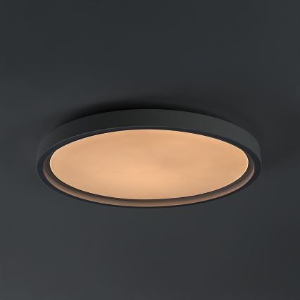 Rabalux - regulējama LED griestu lampa LED/31W/230V IP40 3000–6500K Ø 41,5 cm + tālvadības pults