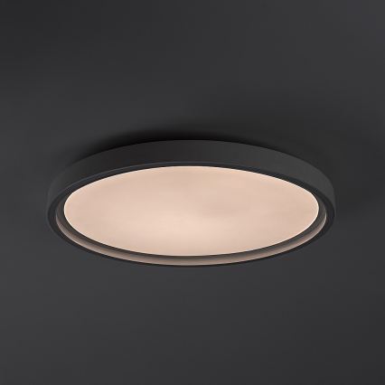 Rabalux - regulējama LED griestu lampa LED/31W/230V IP40 3000–6500K Ø 41,5 cm + tālvadības pults