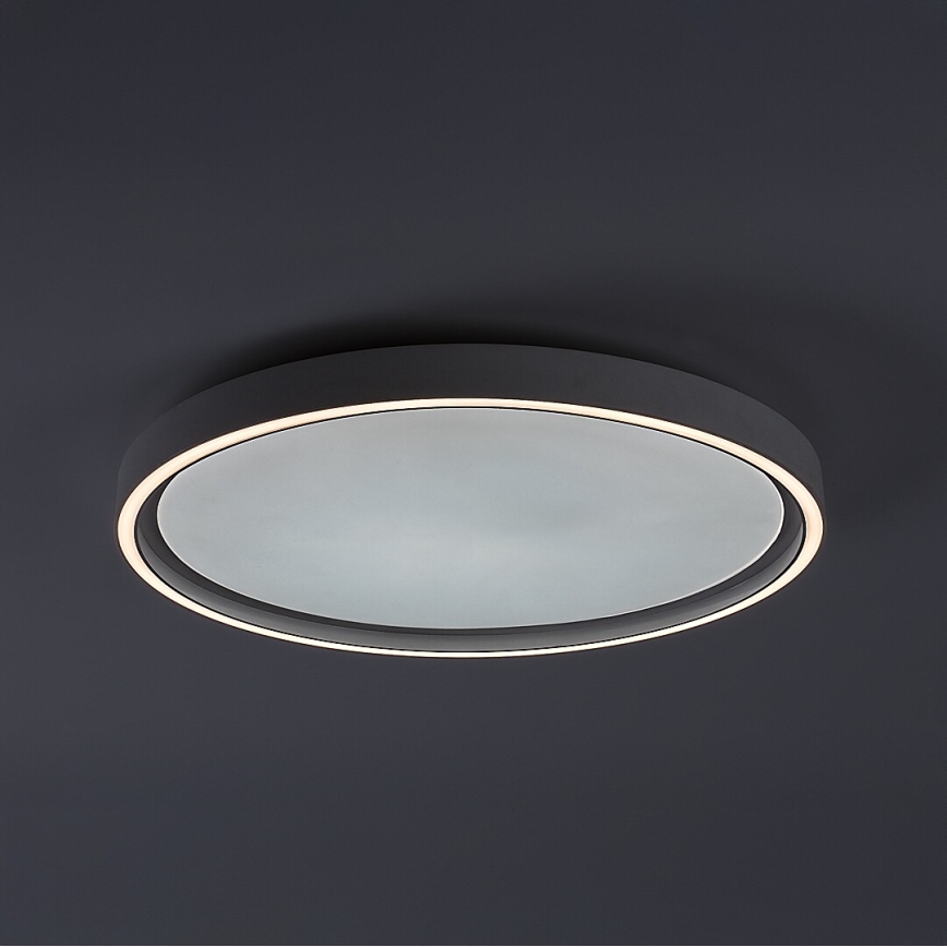 Rabalux - regulējama LED griestu lampa LED/31W/230V IP40 3000–6500K Ø 41,5 cm + tālvadības pults