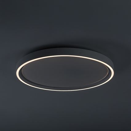Rabalux - regulējama LED griestu lampa LED/31W/230V IP40 3000–6500K Ø 41,5 cm + tālvadības pults
