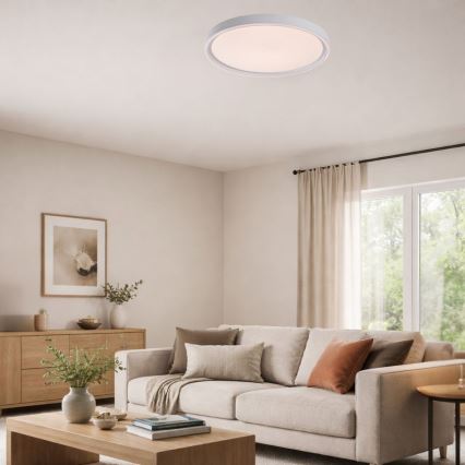 Rabalux - LED griestu gaismeklis ar regulējamu spilgtumu LED/54W/230V IP40 3000-6500K diametrs 52 cm + ar tālvadības pulti