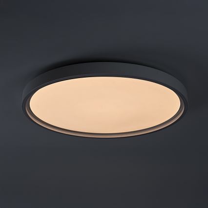 Rabalux - LED griestu gaismeklis ar regulējamu spilgtumu LED/54W/230V IP40 3000-6500K diametrs 52 cm + ar tālvadības pulti
