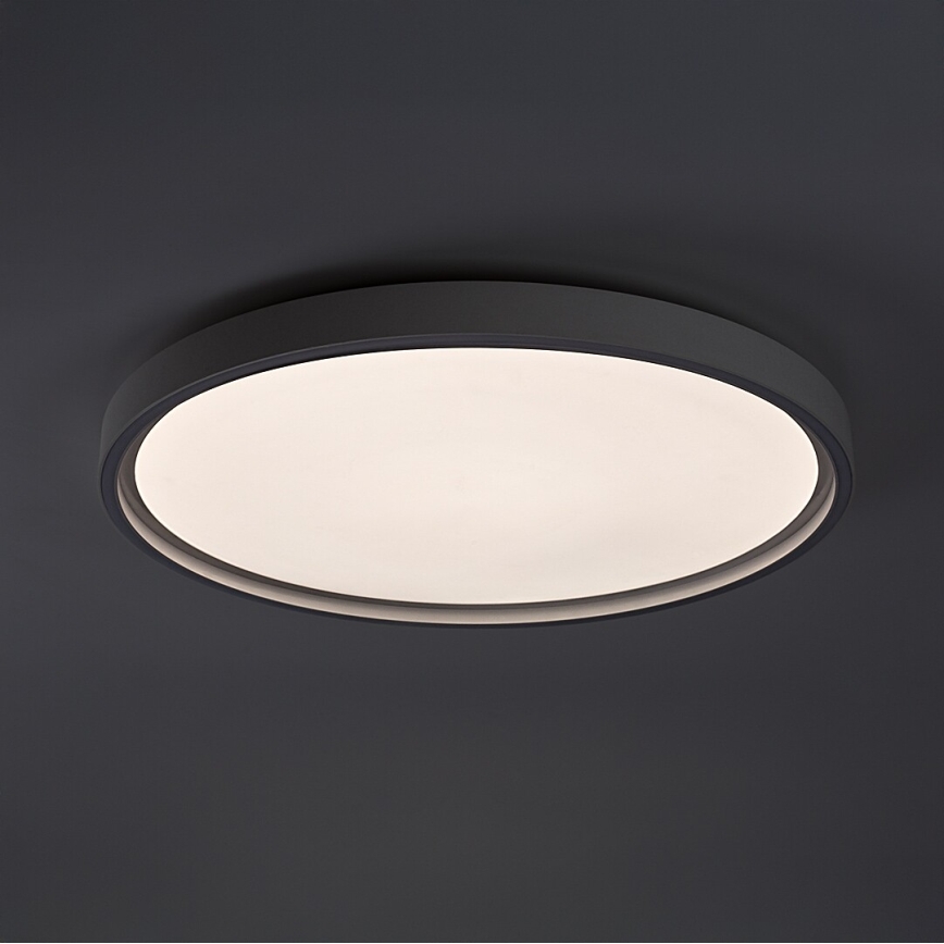 Rabalux - LED griestu gaismeklis ar regulējamu spilgtumu LED/54W/230V IP40 3000-6500K diametrs 52 cm + ar tālvadības pulti