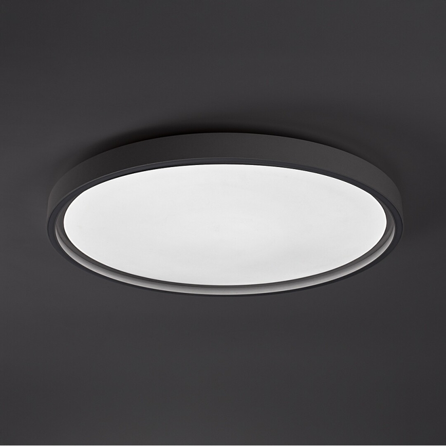 Rabalux - LED griestu gaismeklis ar regulējamu spilgtumu LED/54W/230V IP40 3000-6500K diametrs 52 cm + ar tālvadības pulti