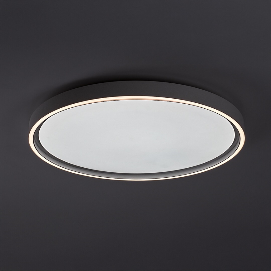 Rabalux - LED griestu gaismeklis ar regulējamu spilgtumu LED/54W/230V IP40 3000-6500K diametrs 52 cm + ar tālvadības pulti