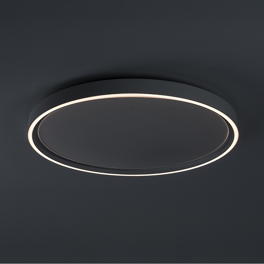 Rabalux - LED griestu gaismeklis ar regulējamu spilgtumu LED/54W/230V IP40 3000-6500K diametrs 52 cm + ar tālvadības pulti