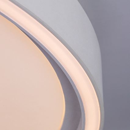 Rabalux - LED griestu gaismeklis ar regulējamu spilgtumu LED/54W/230V IP40 3000-6500K diametrs 52 cm + ar tālvadības pulti