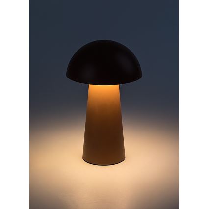 Rabalux - LED ar regulējamu spilgtumu skārienjūtīga uzlādējamā āra lampa LED/1,5W/5V IP44 1200 mAh USB brūna