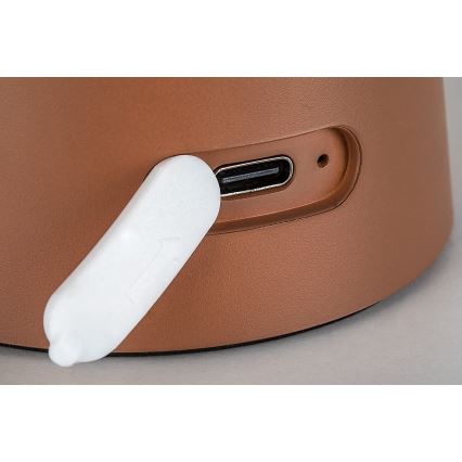 Rabalux - LED ar regulējamu spilgtumu skārienjūtīga uzlādējamā āra lampa LED/1,5W/5V IP44 1200 mAh USB brūna