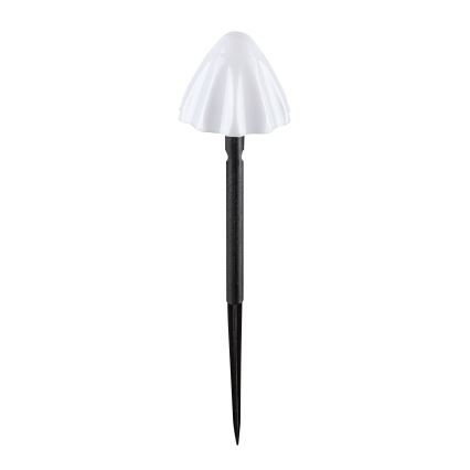 Rabalux - LED Saules enerģijas lampa 10xLED/0,2W/1,2V IP44