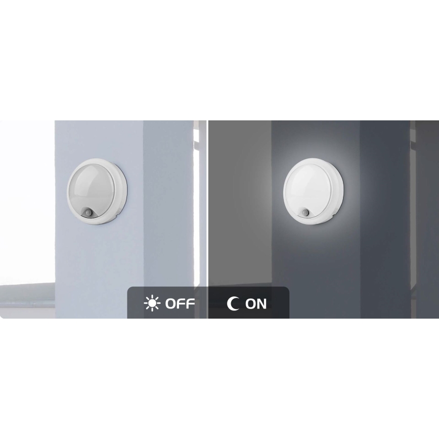 Rabalux - LED Āra sienas lampa ar sensoru LED/15W/230V IP54