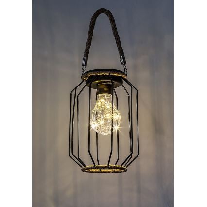 Rabalux - LED Saules enerģijas lampa LED/0,2W/1,2V IP44