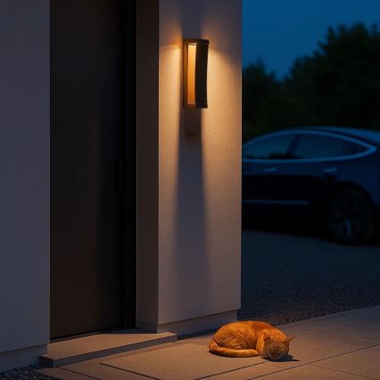 Rabalux - LED āra sienas gaismeklis LED/13W/230V IP65 brūns