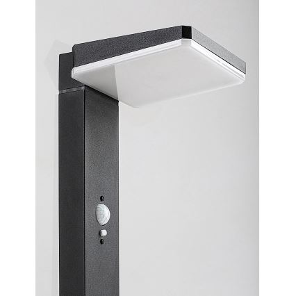 Rabalux - LED regulējama saules āra lampa ar sensoru LED/4,4W/3,7V IP54 antracīts 2200 mAh