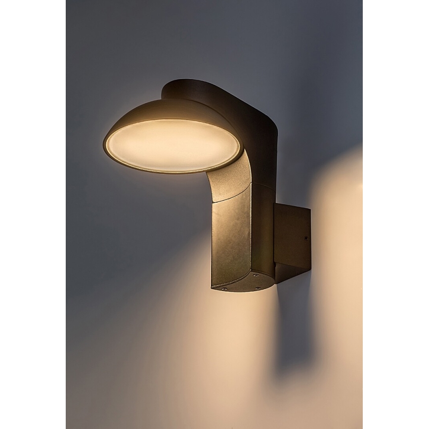 Rabalux - LED Āra sienas lampa LED/12W/230V IP54