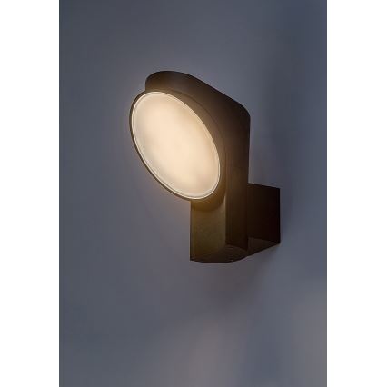 Rabalux - LED Āra sienas lampa LED/12W/230V IP54