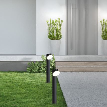Rabalux - LED Āra lampa LED/12W/230V IP54