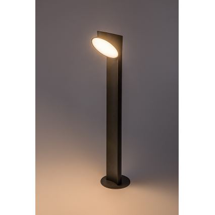 Rabalux - LED Āra lampa LED/12W/230V IP54