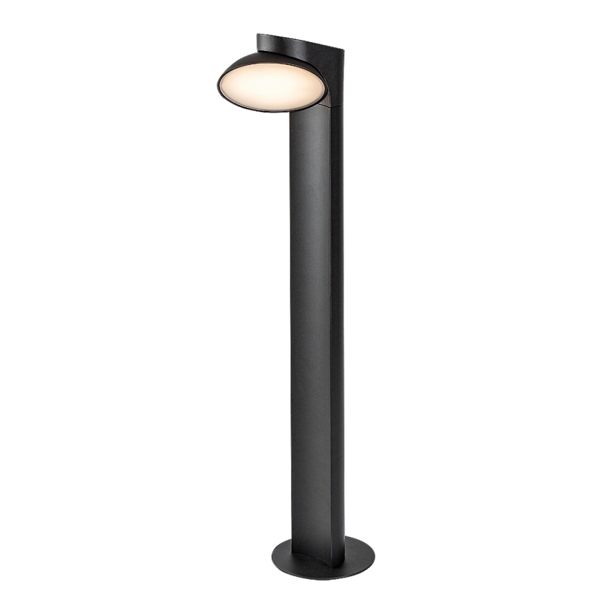 Rabalux - LED Āra lampa LED/12W/230V IP54
