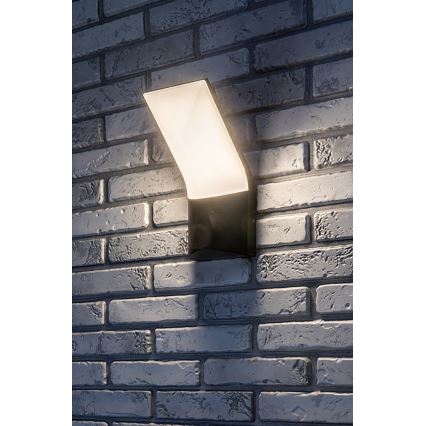 Rabalux - LED Āra sienas lampa LED/10W/230V IP54
