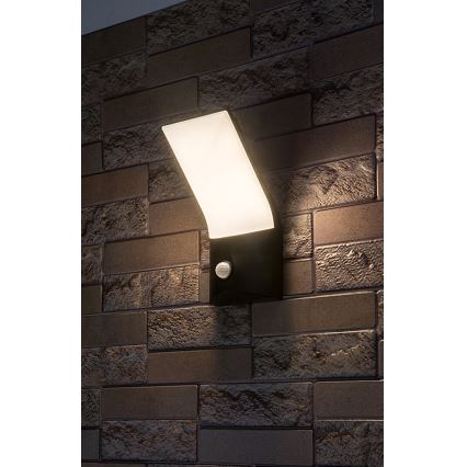 Rabalux - LED Āra sienas lampa ar sensoru LED/10W/230V IP54