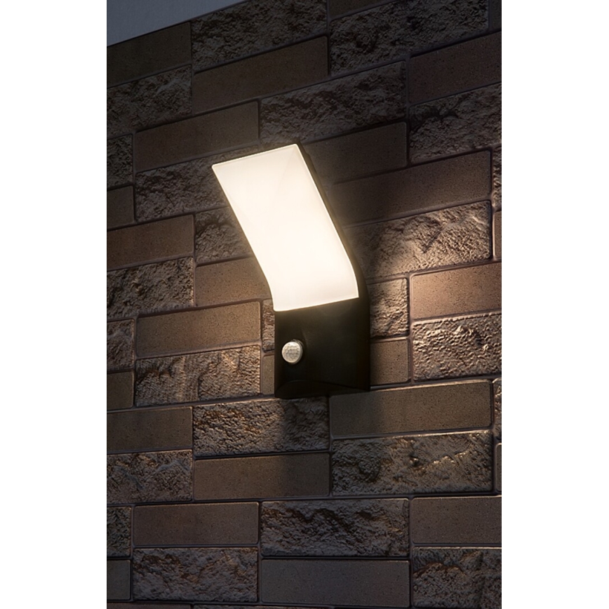 Rabalux - LED Āra sienas lampa ar sensoru LED/10W/230V IP54