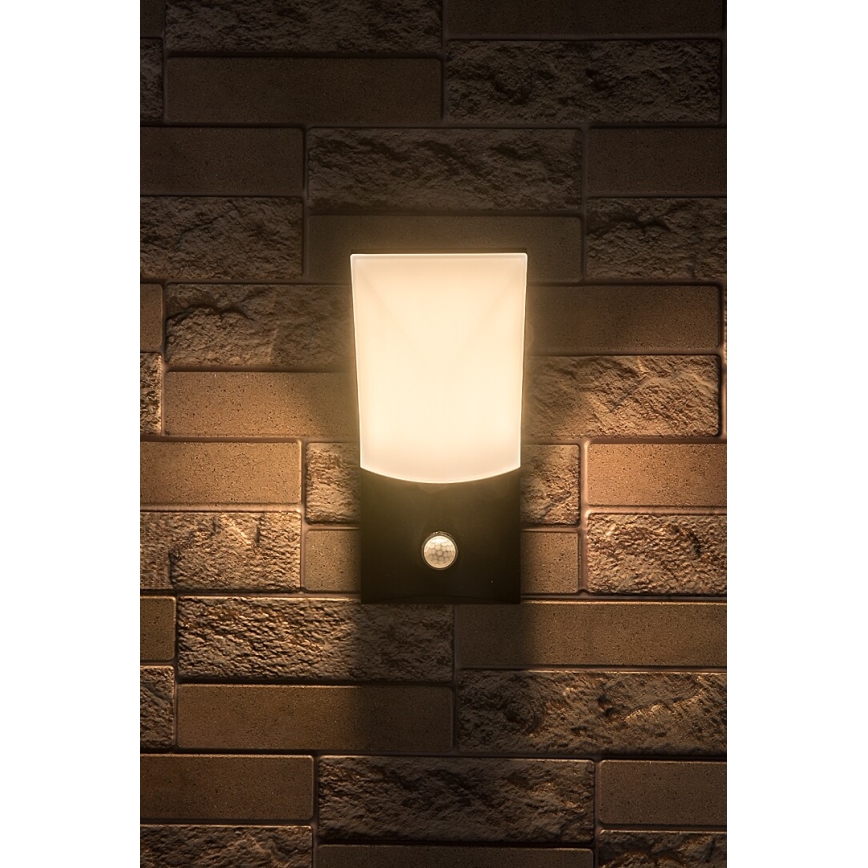 Rabalux - LED Āra sienas lampa ar sensoru LED/10W/230V IP54