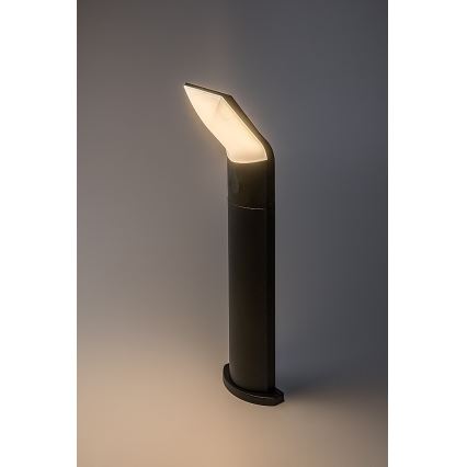 Rabalux - LED Āra lampa LED/10W/230V IP54