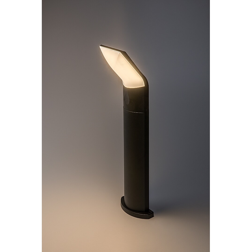 Rabalux - LED Āra lampa LED/10W/230V IP54