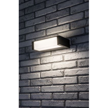 Rabalux - LED Āra sienas lampa LED/18W/230V IP54