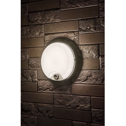Rabalux - LED āra sienas gaismeklis ar sensoru LED/18W/230V IP65 melns